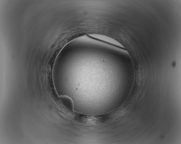 X0000116370229200912161445