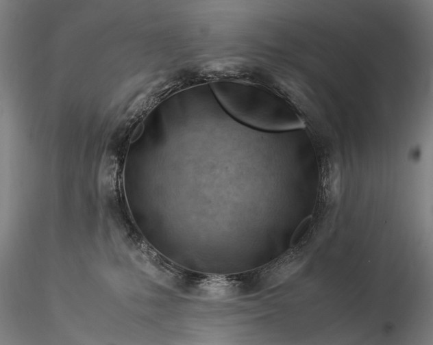 X0000116370231200912161445