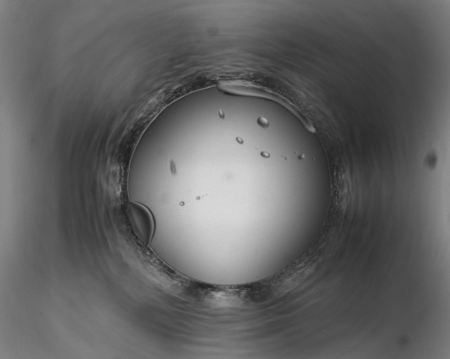 X0000116370232200912161445