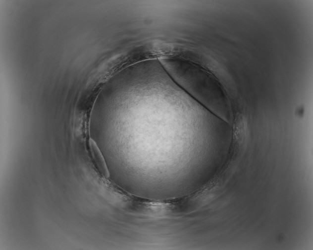 X0000116370233200912161445