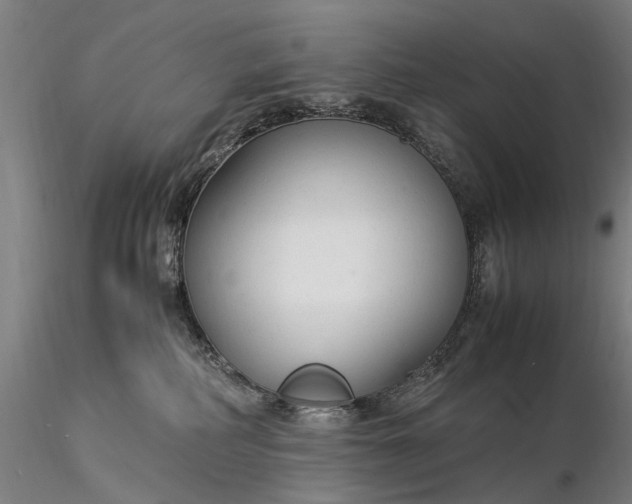 X0000116370234200912161445