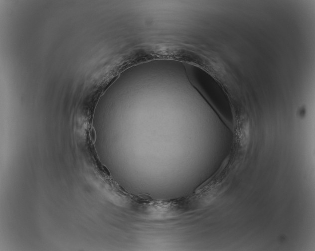 X0000116370235200912161445