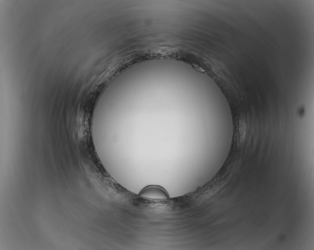 X0000116370236200912161445