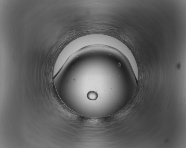 X0000116370237200912161445