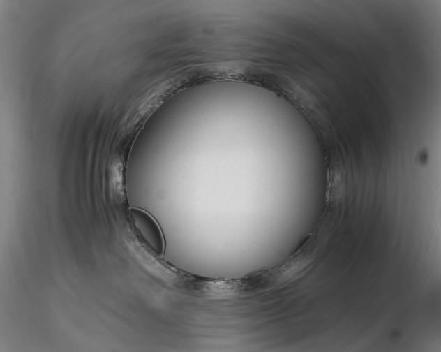 X0000116370238200912161445