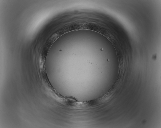 X0000116370239200912161445