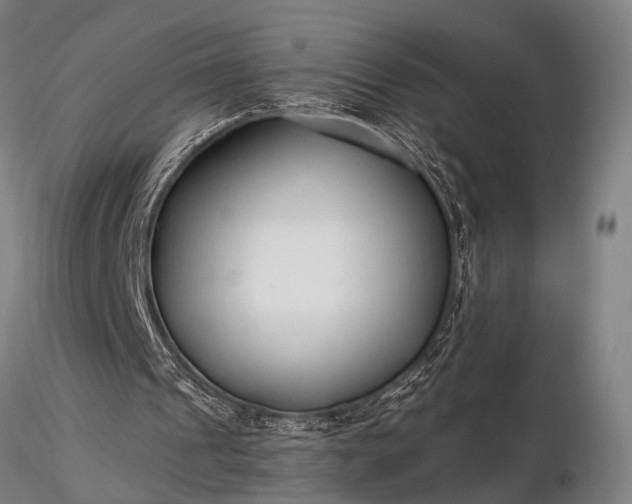 X0000116370241200912161444