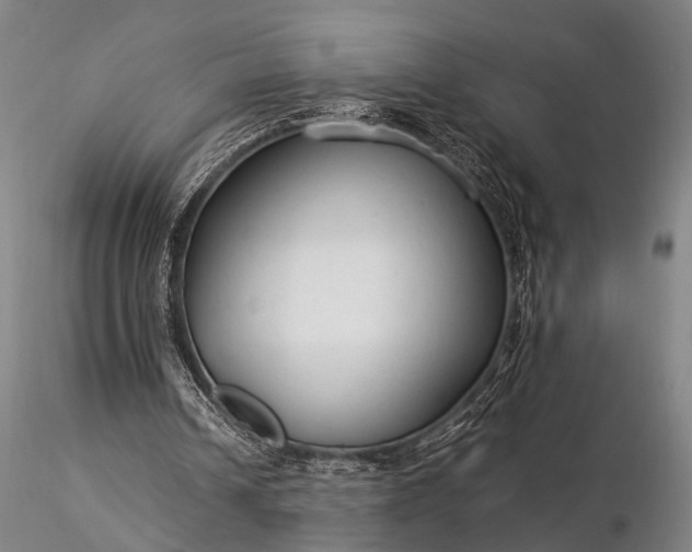 X0000116370242200912161444