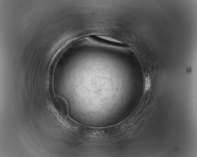 X0000116370243200912161444