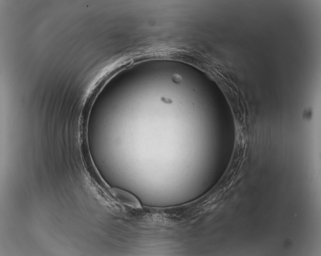 X0000116370244200912161444