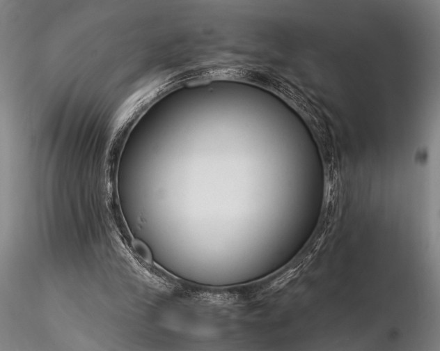 X0000116370245200912161444