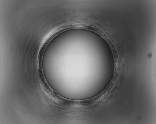 X0000116370246200912161444