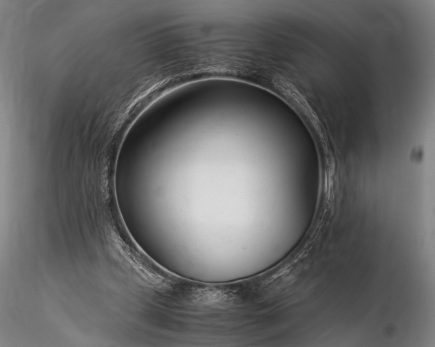 X0000116370249200912161444