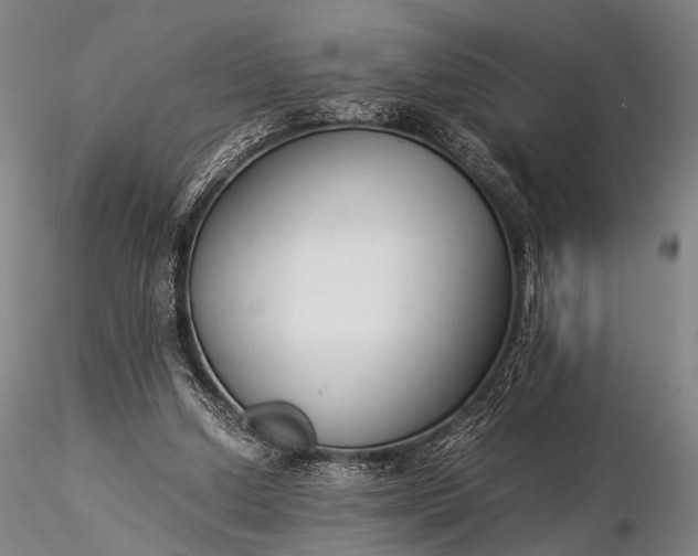 X0000116370250200912161444