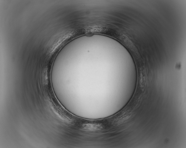 X0000116370251200912161444