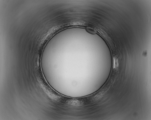 X0000116370253200912161444