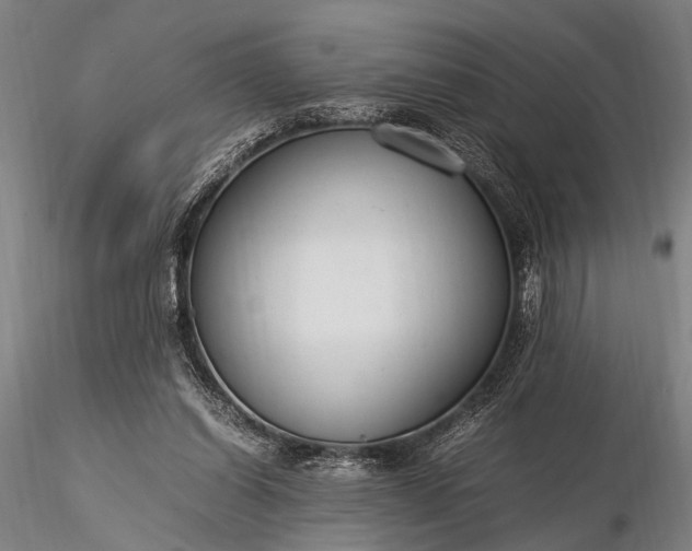 X0000116370254200912161444