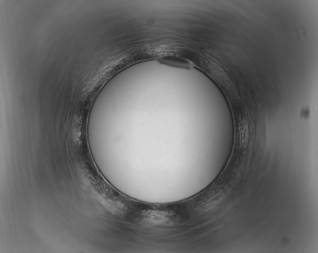 X0000116370255200912161444