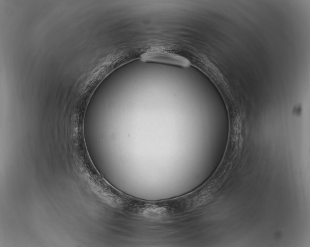 X0000116370257200912161444