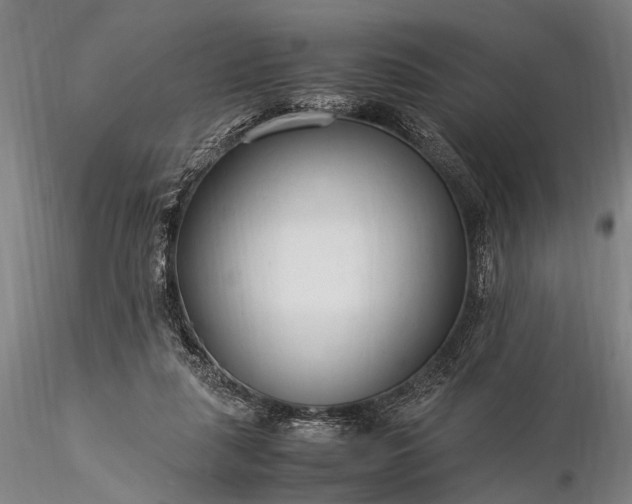 X0000116370259200912161444