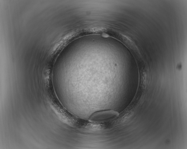 X0000116370260200912161444