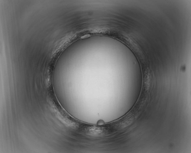 X0000116370261200912161445