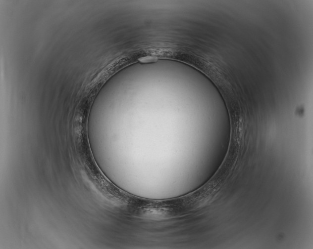 X0000116370263200912161445