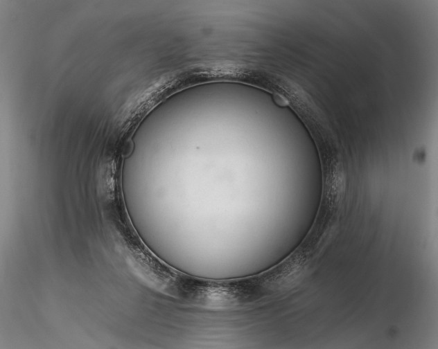 X0000116370264200912161445