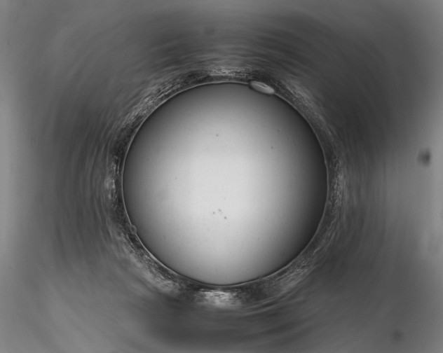 X0000116370265200912161445