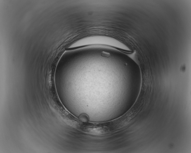 X0000116370267200912161445