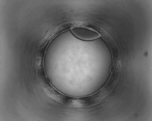 X0000116370268200912161445