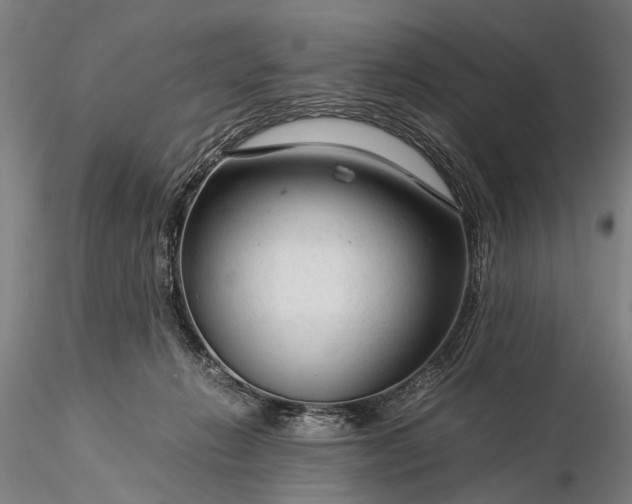 X0000116370270200912161445