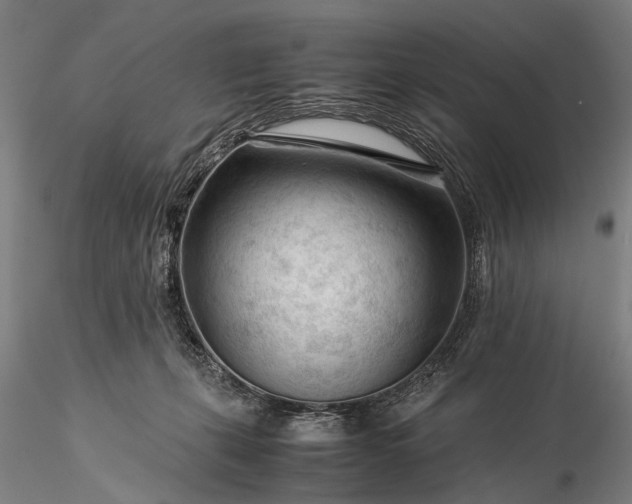 X0000116370271200912161445