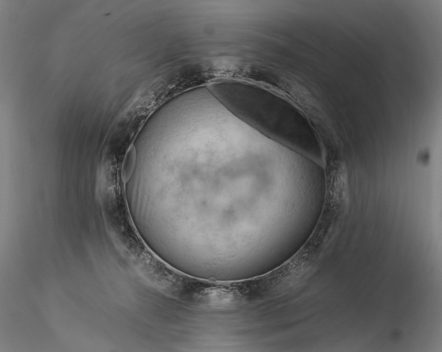 X0000116370272200912161445