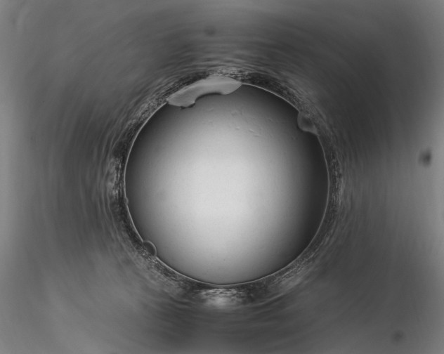 X0000116370273200912161445