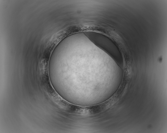 X0000116370276200912161445