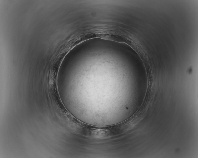 X0000116370277200912161445