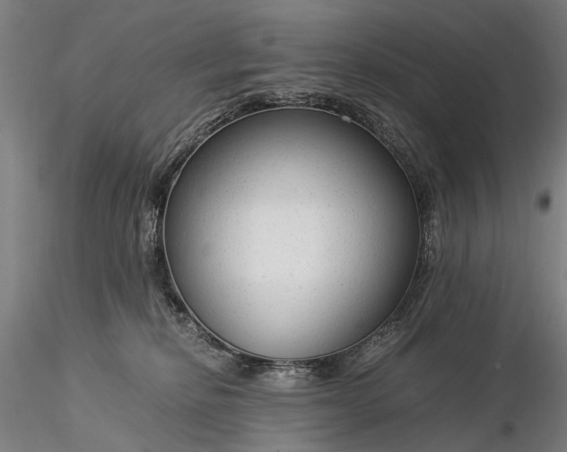 X0000116370278200912161445