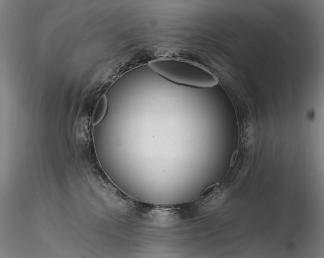 X0000116370280200912161445