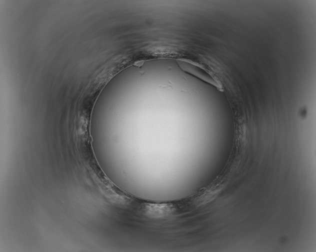 X0000116370281200912161445