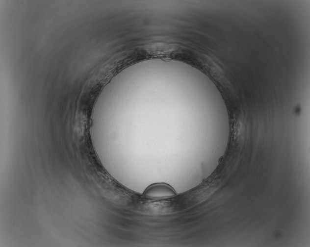 X0000116370283200912161445