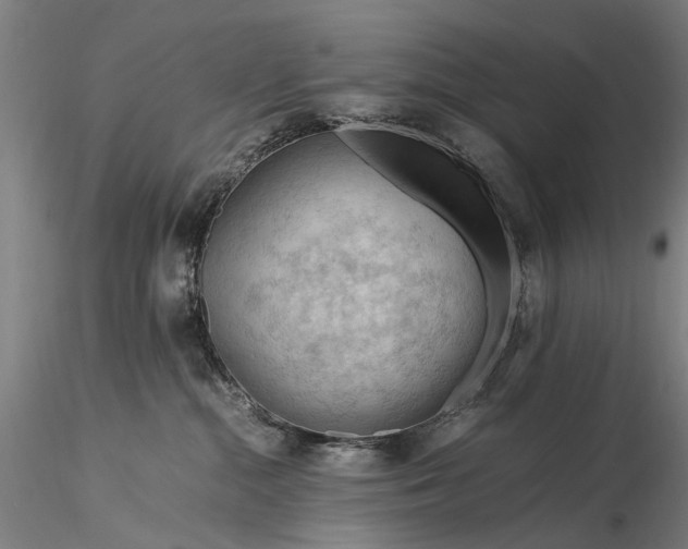 X0000116370284200912161445