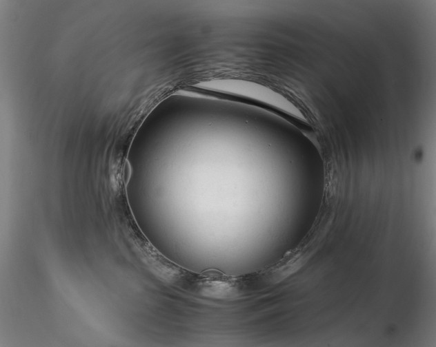 X0000116370285200912161445