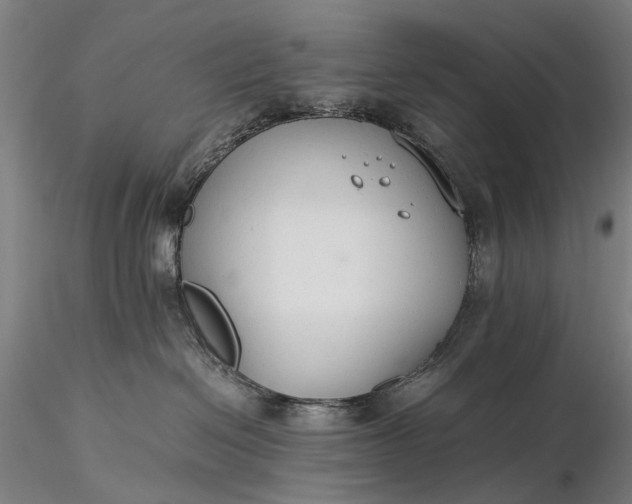 X0000116370286200912161445