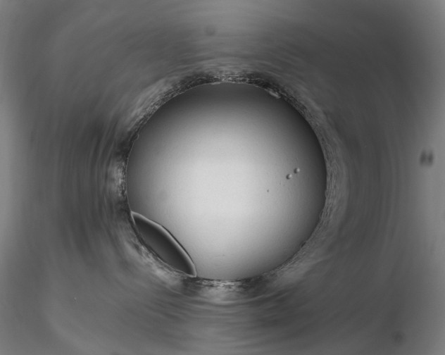 X0000116370288200912161445