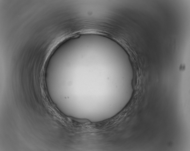 X0000116370289200912161444