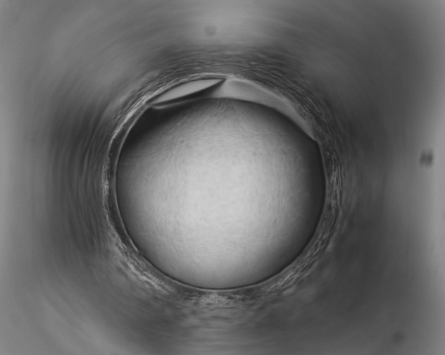 X0000116370290200912161444