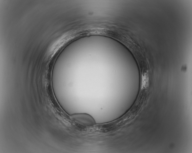 X0000116370291200912161444