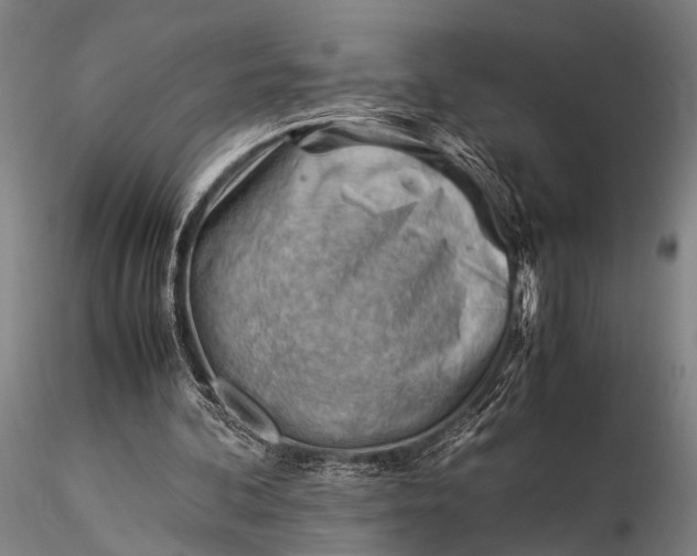 X0000116370292200912161444