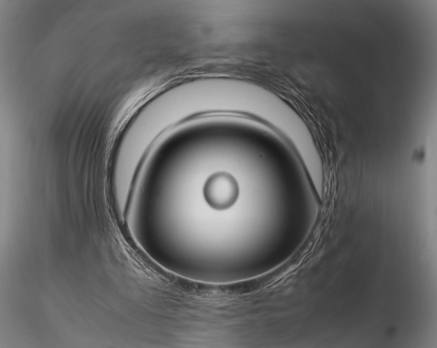 X0000116370293200912161444